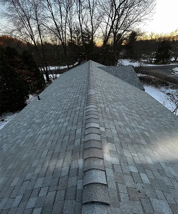 Roofing Services